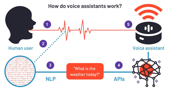 What Is A Voice Assistant And Are They The Future Of Chatbots